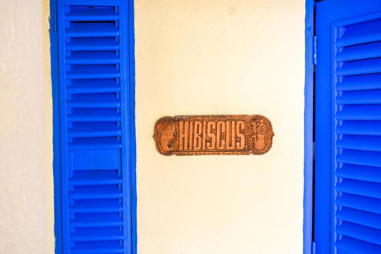 Hibiscus Beach House Pangani المظهر الخارجي الصورة