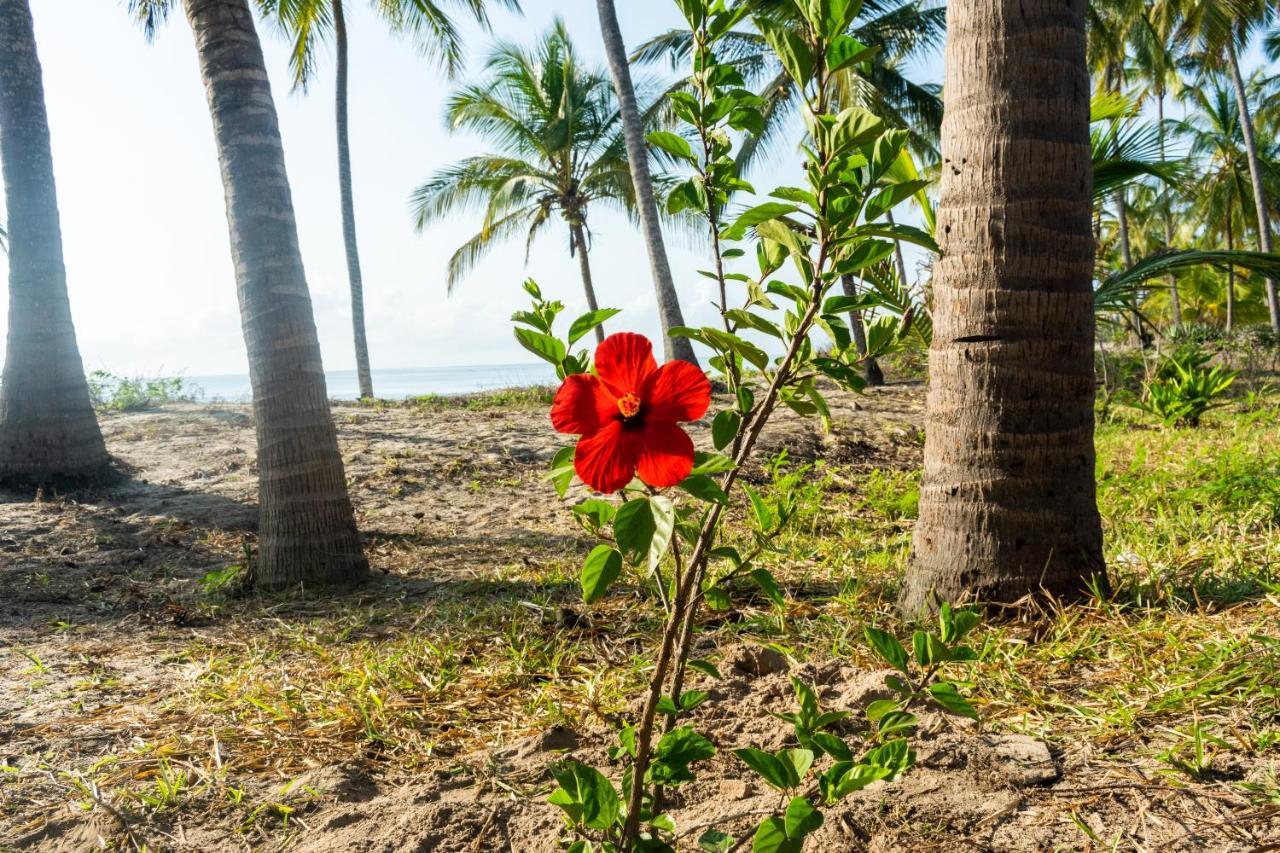 Hibiscus Beach House Pangani المظهر الخارجي الصورة